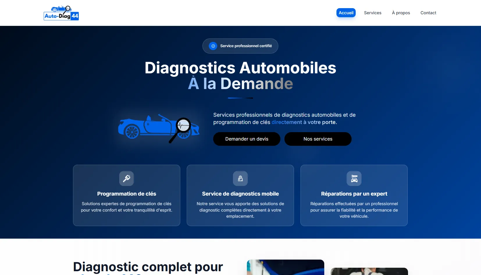 Auto-Diag 44 Cover